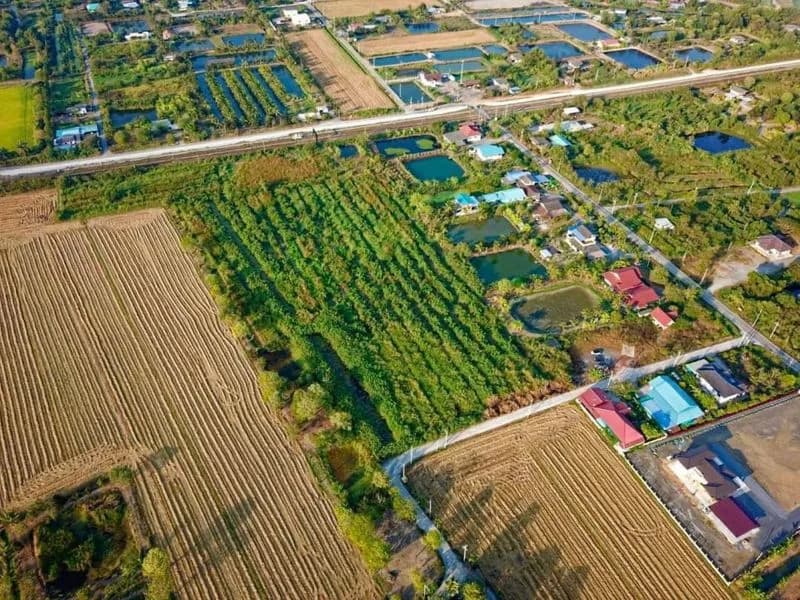 ขายที่ดิน 19 ไร่ ผังสีส้ม EEC ฉะเชิงเทรา เหมาะสร้างหมู่บ้านจัดสรร ใกล้กรุงเทพ 40 นาที รูปที่ 6
