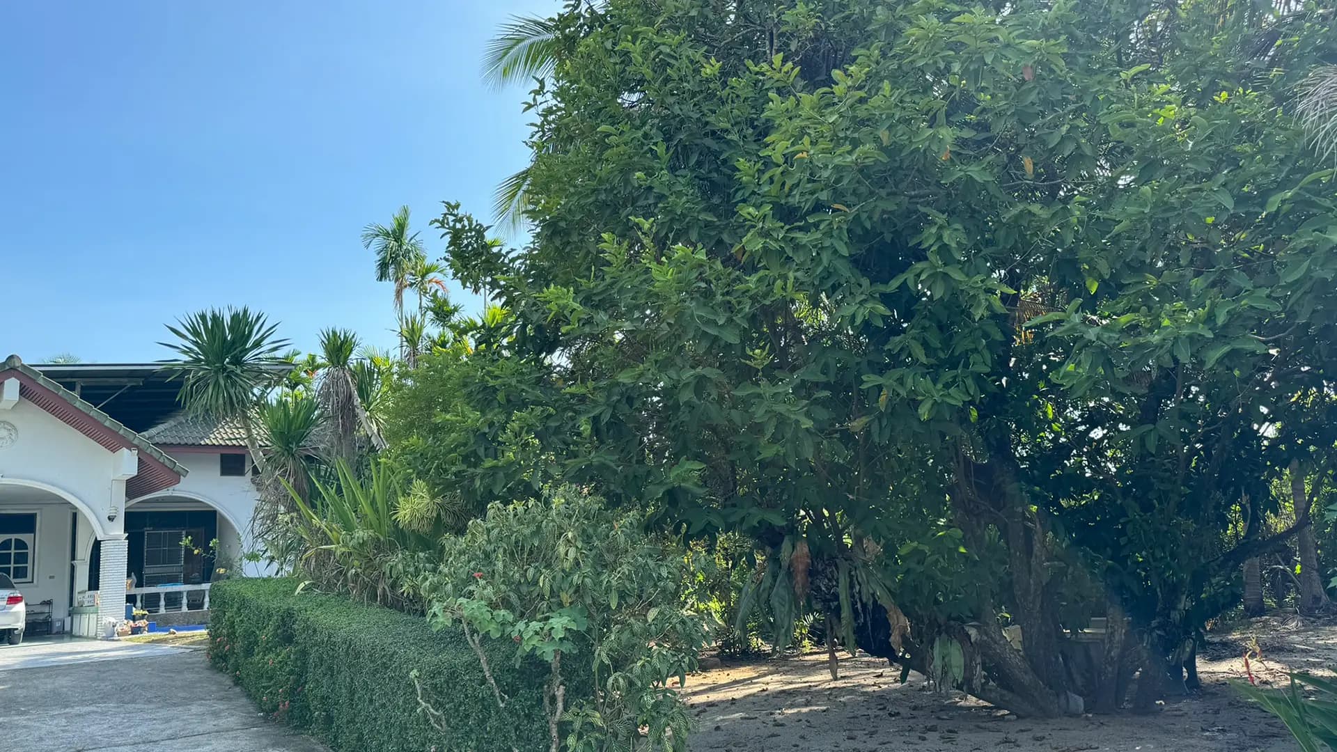 ขายที่ดิน 1 ไร่ ปากพูน นครศรีธรรมราช ทำเลดีติดถนน ใกล้ตลาดท่าแพ รูปที่ 3