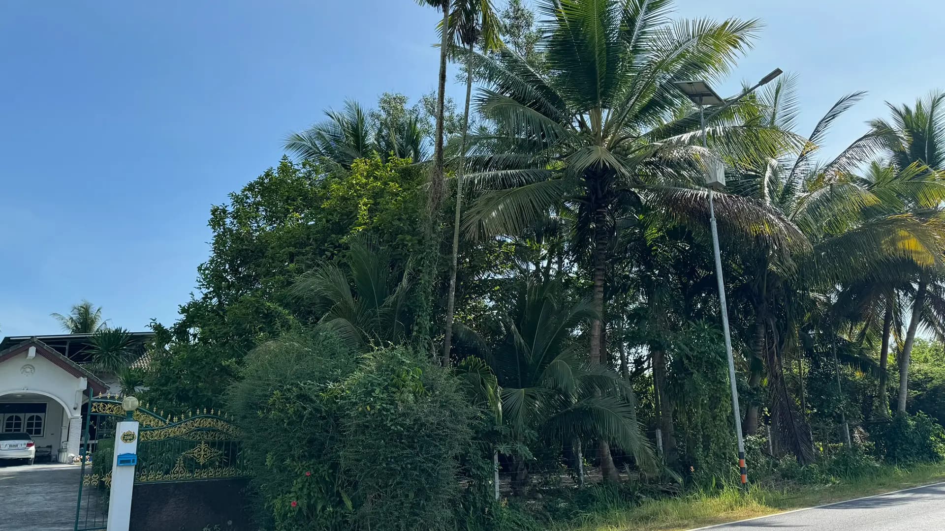 ขายที่ดิน 1 ไร่ ปากพูน นครศรีธรรมราช ทำเลดีติดถนน ใกล้ตลาดท่าแพ รูปที่ 5