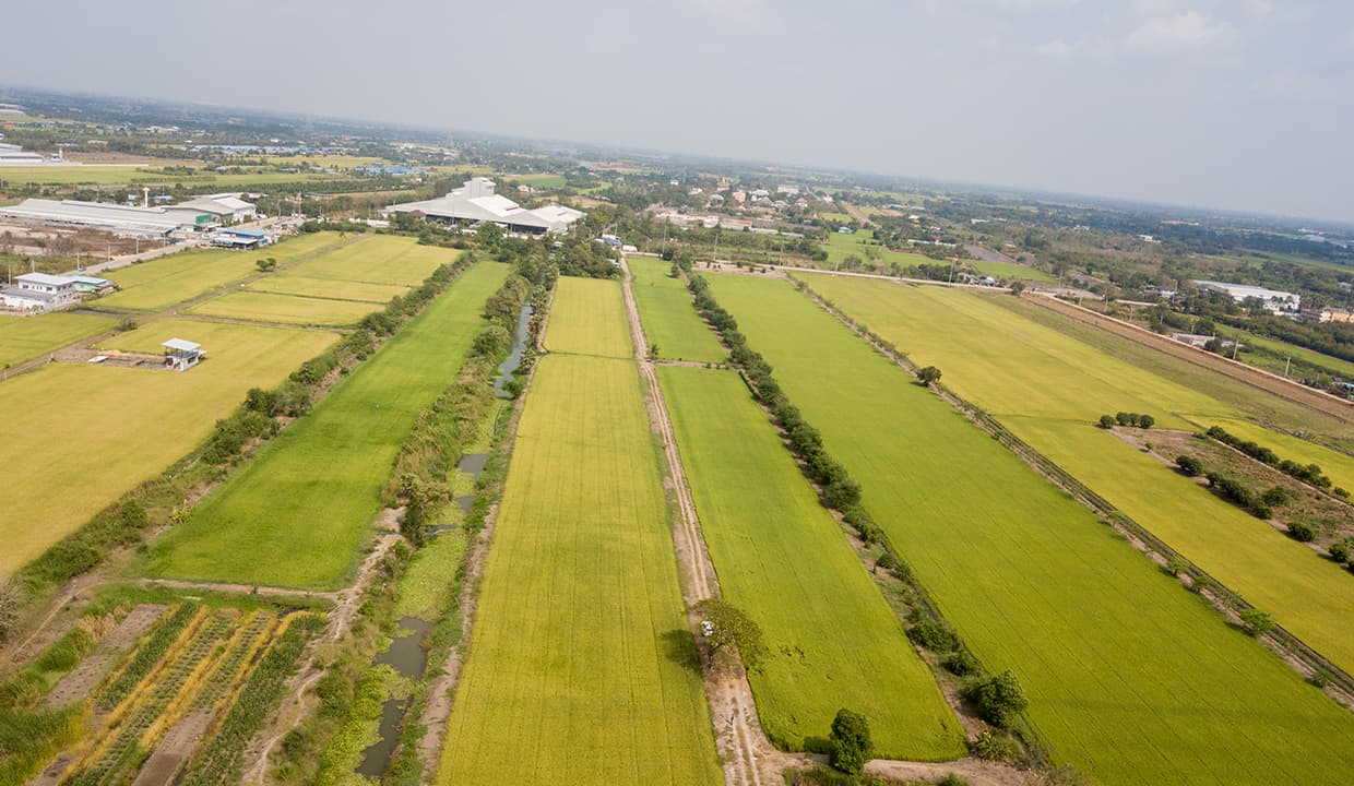 ขายที่ดิน 741 ตร.วา ไทรน้อย นนทบุรี 2 โฉนด ทำเลดี รูปที่ 5